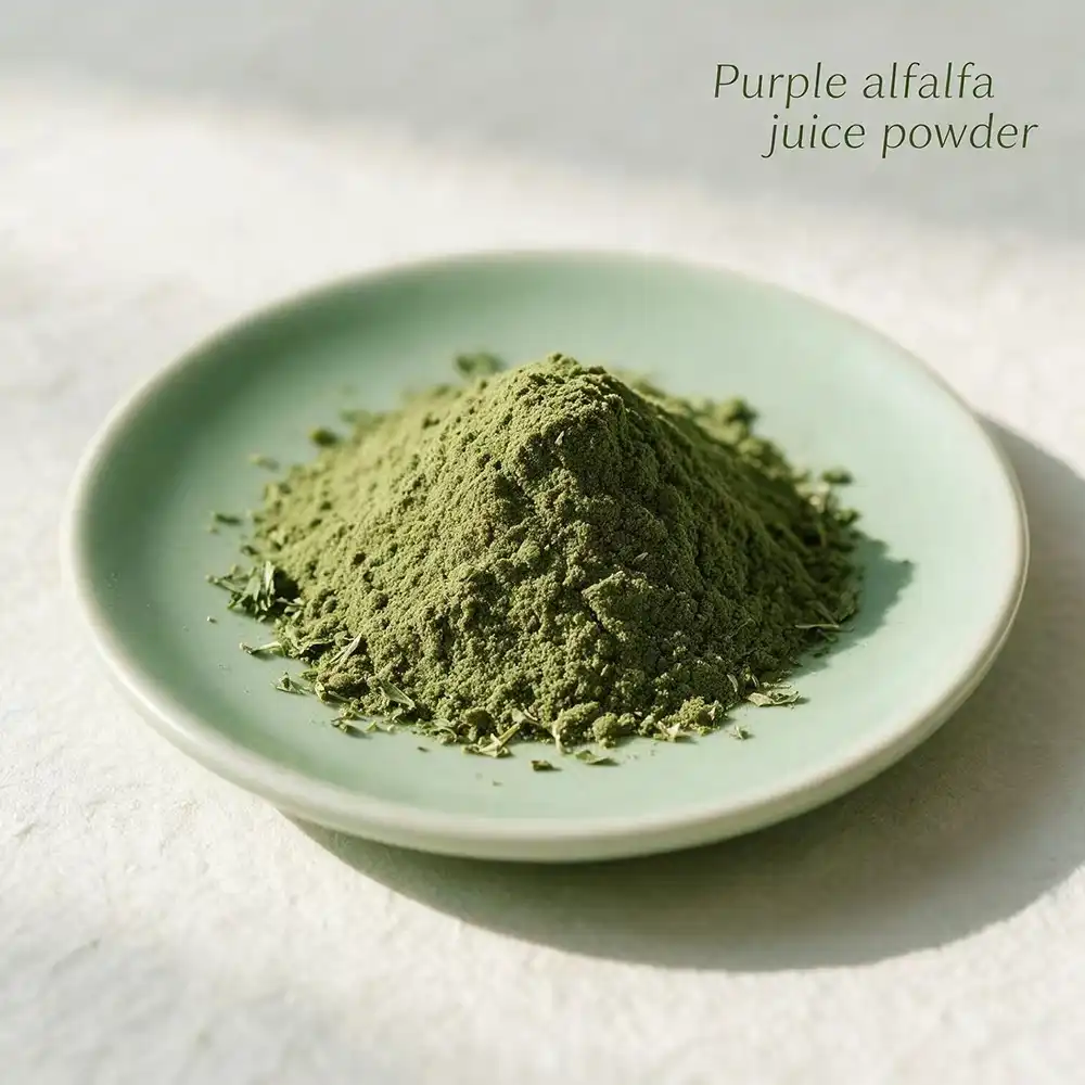 Purple Alfalfa Juice Powder OEM: Formulation and Private Label Guide